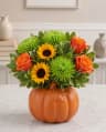 Cozy Fall Pumpkin Bloom